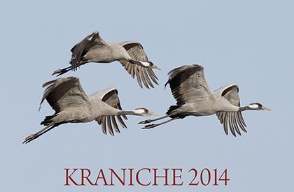 Kranichkalender 2014